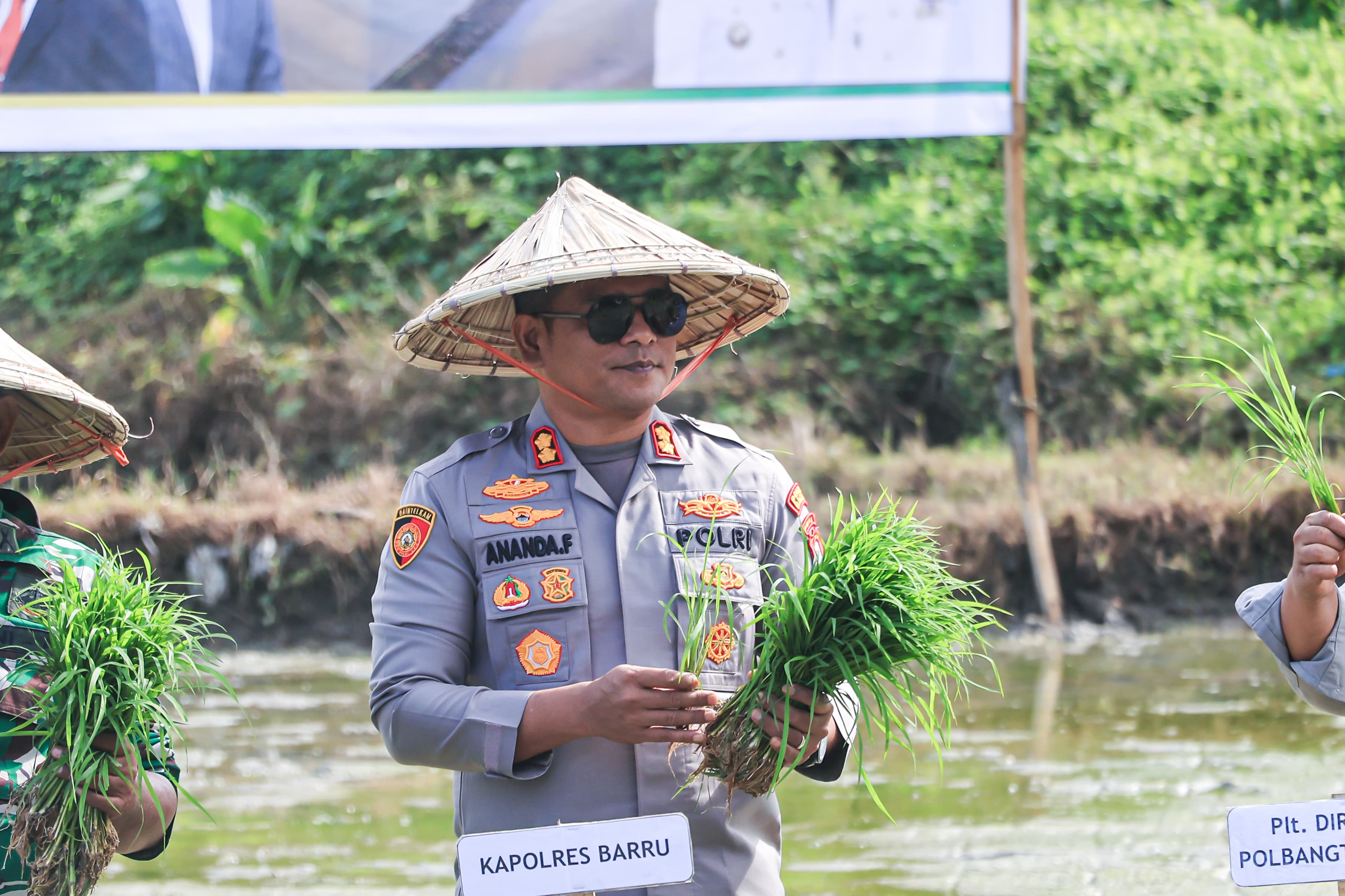 Ikut ke Sawah, Kapolres Barru Kawal Program Pertanian Nasional